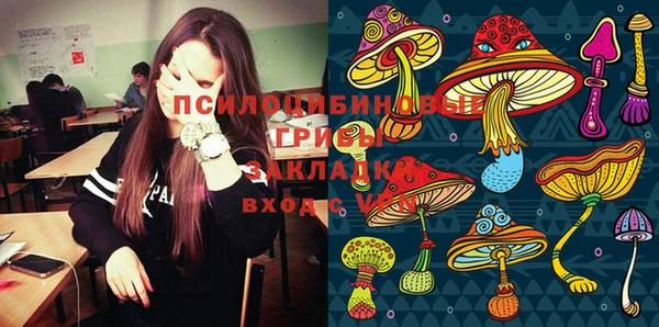 гидропоника Арсеньев