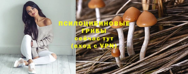 гидропоника Арсеньев
