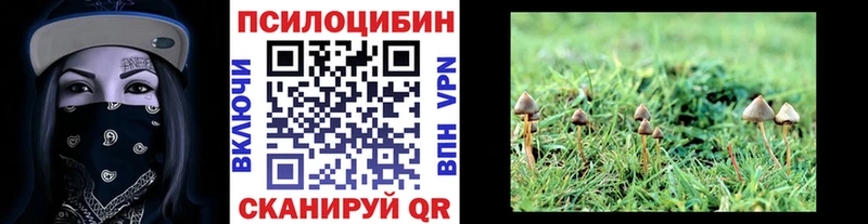 Галлюциногенные грибы мухоморы  Таруса 